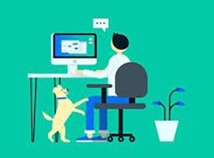Prorogata la scadenza dello smart working per i lavoratori fragili ed altri